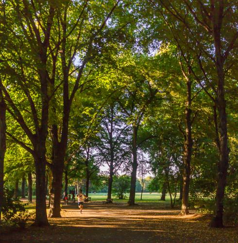mariannenpark1